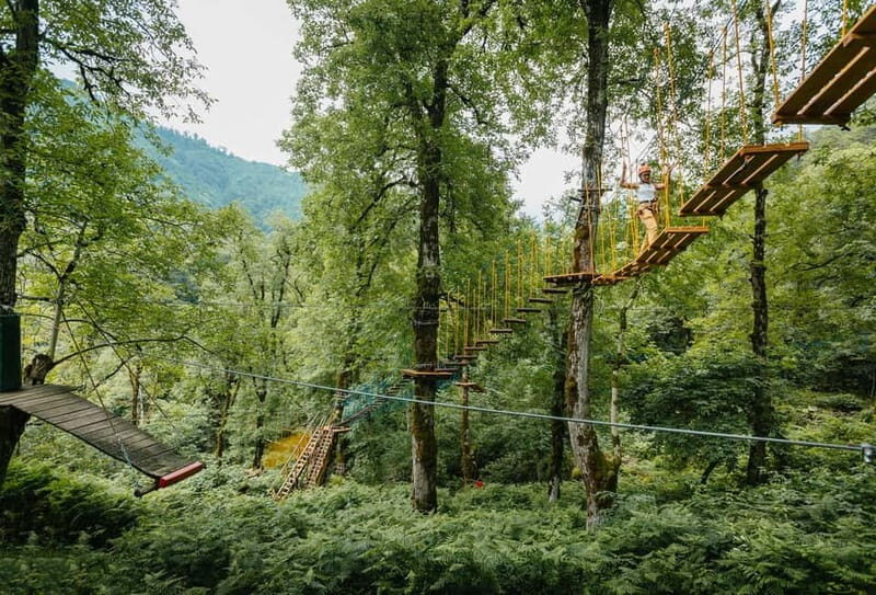 Batumi to Mtirala National park - Half day hiking group tour - Practical Tips for Your Adventure