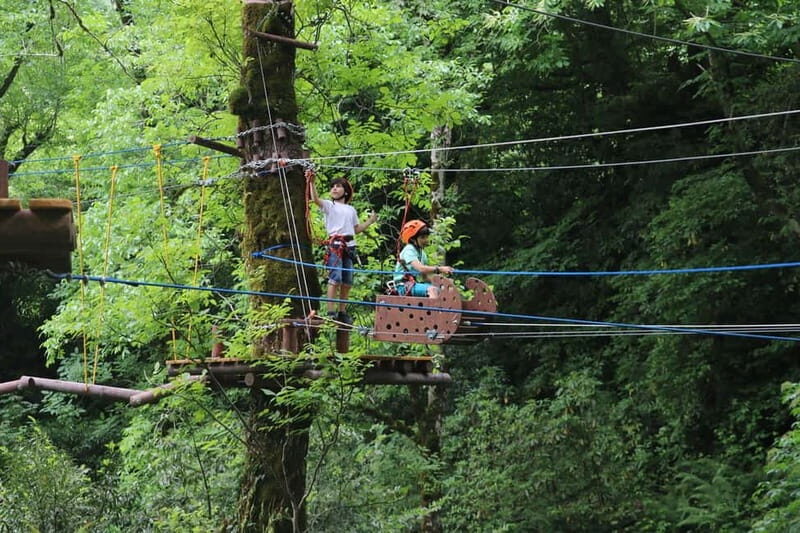 Batumi to Mtirala National park - Half day hiking group tour - FAQ