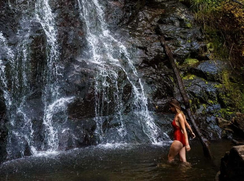 Batumi, Waterfalls & Folklore - group tour from Kutaisi - A Deep Dive into the Itinerary and Experience