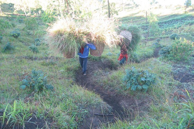 Batur Caldera Sunrise Trekking - What to Expect from the Tour