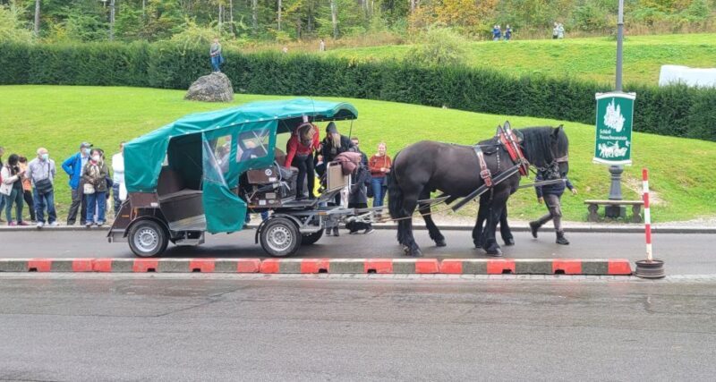 Bavarian Highlights Private Day Tour - What Makes This Tour Stand Out