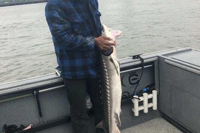 Bay Area Pier Fishing: Sturgeon, Sharks, and Stingray Hunt - Key Points