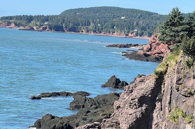 Bay of Fundy Shared Tour Adventure - Who Should Consider This Tour?