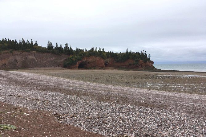 Bay of Fundy Tour by Bus - Final Thoughts: Who Should Consider This Tour?