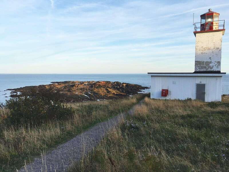 Bay of Fundy Tour by Luxury Car - Returning to the Cruise Terminal