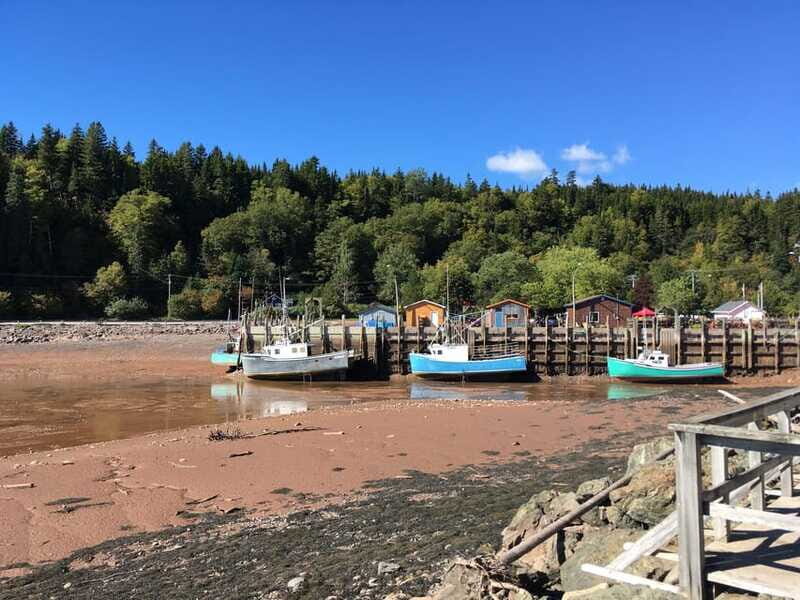 Bay of Fundy Tour by Mini Van - The Sum Up: Who Will Love This Experience?