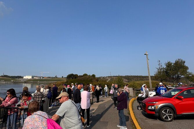 Bay of Fundy Tour Saint John NB - Who Should Consider This Tour?