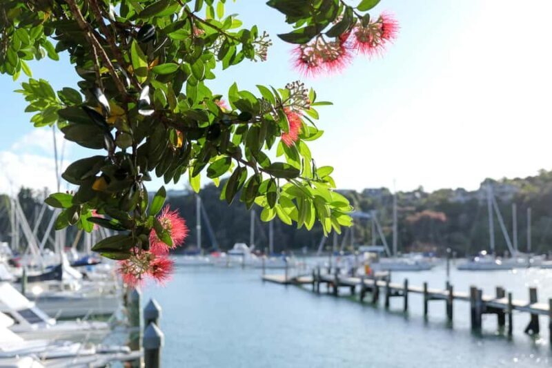 Bay of Islands: 1 Hour Scenic Bay of Islands Tour - Practical Tips for Travelers
