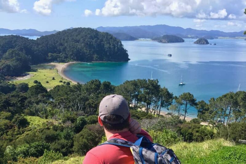 Bay of Islands: 4.5 Hour Day Cruise and Island Getaway Tour - The Experience for Different Travelers
