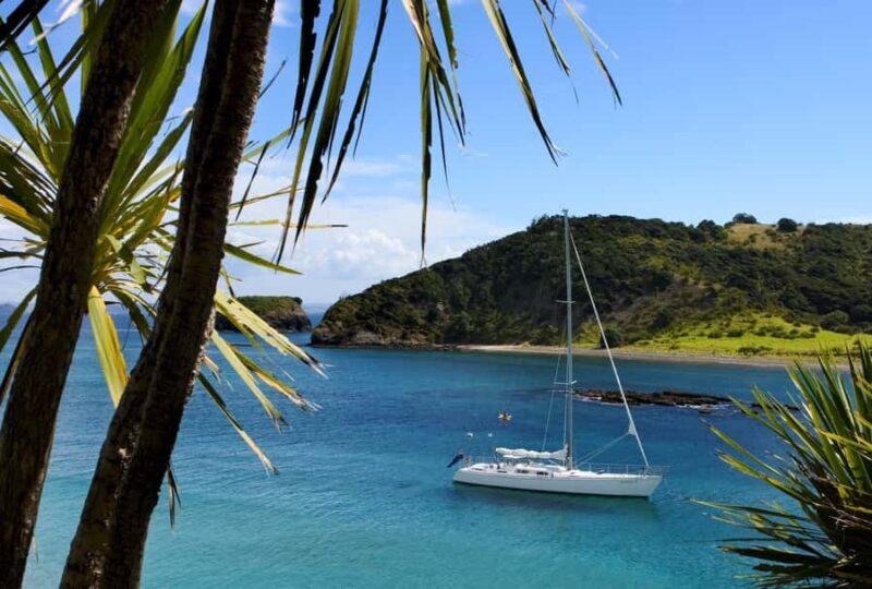 Bay of Islands: Awesome Day Sailing Tour with Island Stop - Why This Tour Stands Out