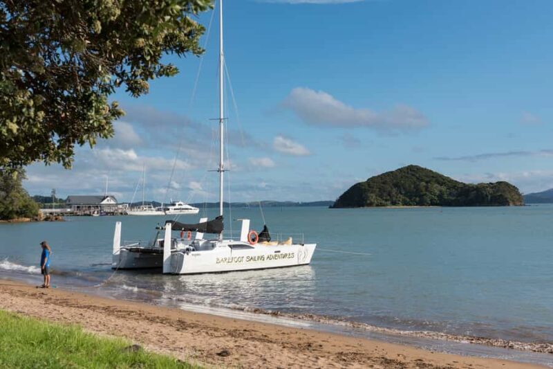 Bay of Islands: Catamaran Sail, Wildlife Island & Lunch - An In-Depth Look at the Bay of Islands Sailing Adventure