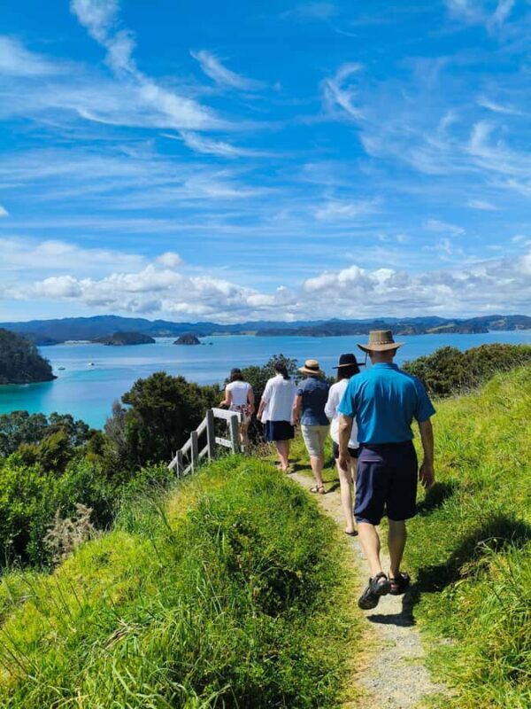 Bay of Islands: Day Sailing Cruise with Island Stop & Lunch - An Overview of the Experience