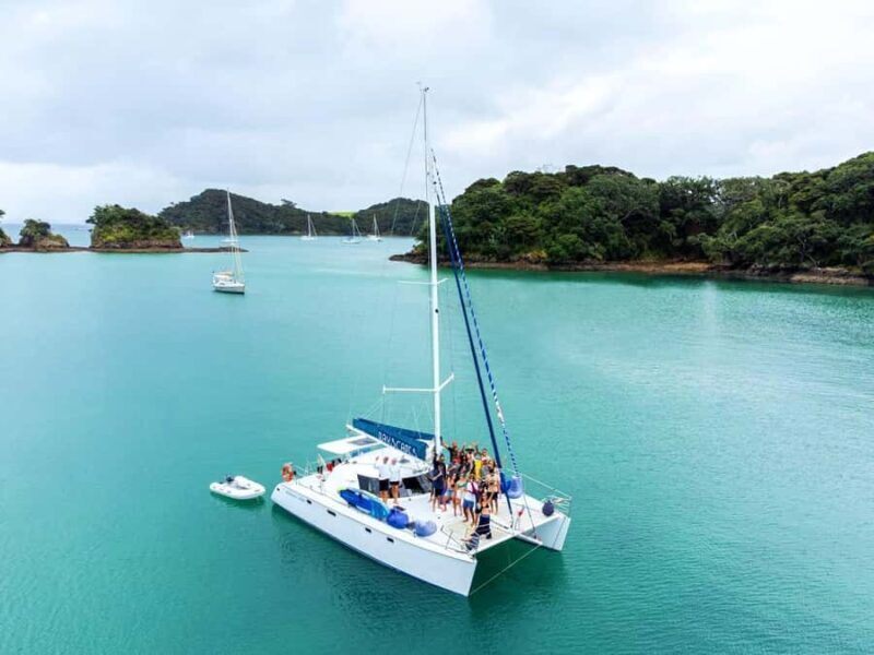 Bay of Islands: Day Sailing Cruise with Island Stop & Lunch - Who Will Love This Tour?