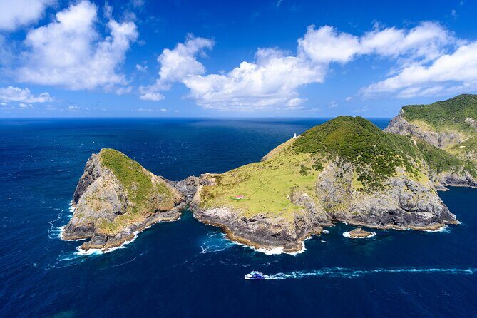 Bay of Islands Discovery Experience from Auckland incl. Hole In The Rock Cruise - The Sum Up: Is This Tour Worth It?