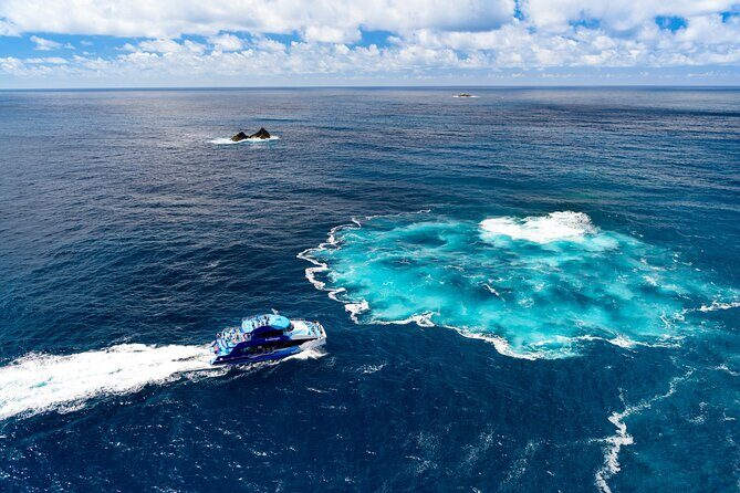 Bay of Islands Explorer Experience Small Group Tour From Auckland - Introduction: What Is This Tour All About?