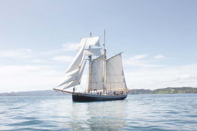 Bay of Islands: Full-Day Tall Ship Sailing Excursion - Introduction: What Makes This Sailing Tour Special?
