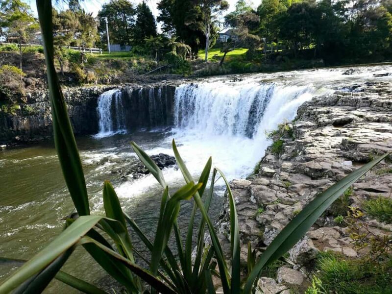 Bay of Islands - Mini Tour (75-90 mins) - Key Points