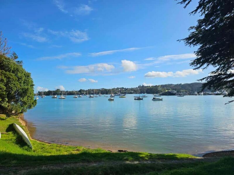 Bay of Islands - Mini Tour (75-90 mins) - Summary: The Strengths and Limitations