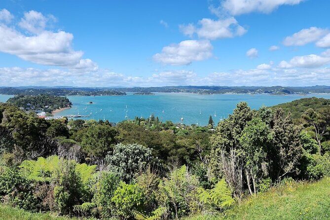 Bay of Islands Scenic Tour - Key Points