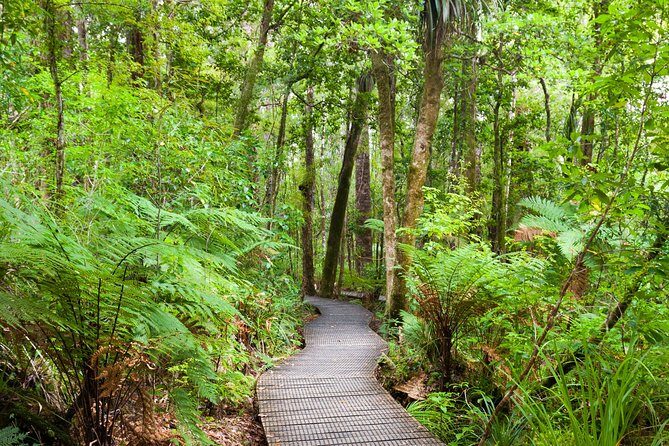 Bay of Islands Shore Excursion: Puketi Rainforest Guided Walk - Frequently Asked Questions