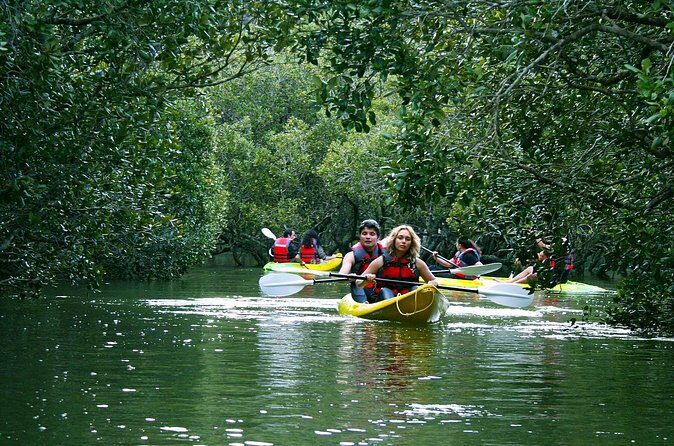 Bay of islands Waterfall Cruise Kayaking Tour - Practical Tips for Participants