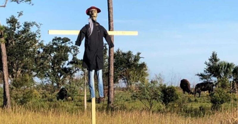 Bay Saint Louis, MS: The Haunted Bayou Cruise - What to Expect: Practical Details