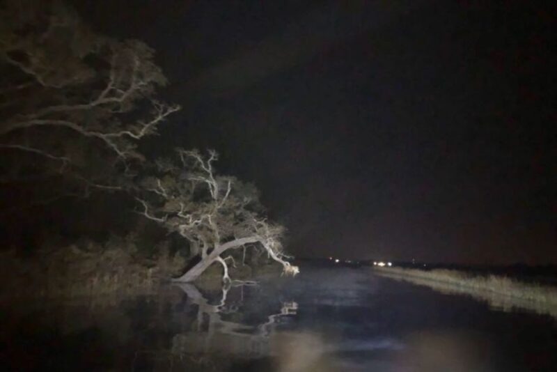 Bay Saint Louis, MS: The Haunted Bayou Cruise - Value and Considerations