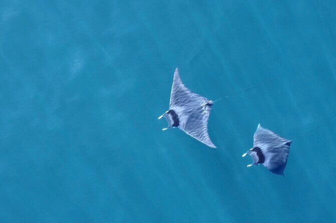 Bay Trip and the Arch of Cabo San Lucas - Who Will Love This Tour?