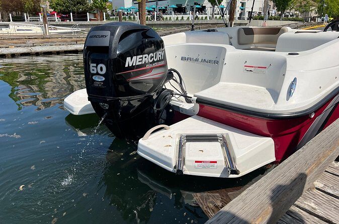 Bayliner Element 60HP Boat - Who Will Love This?