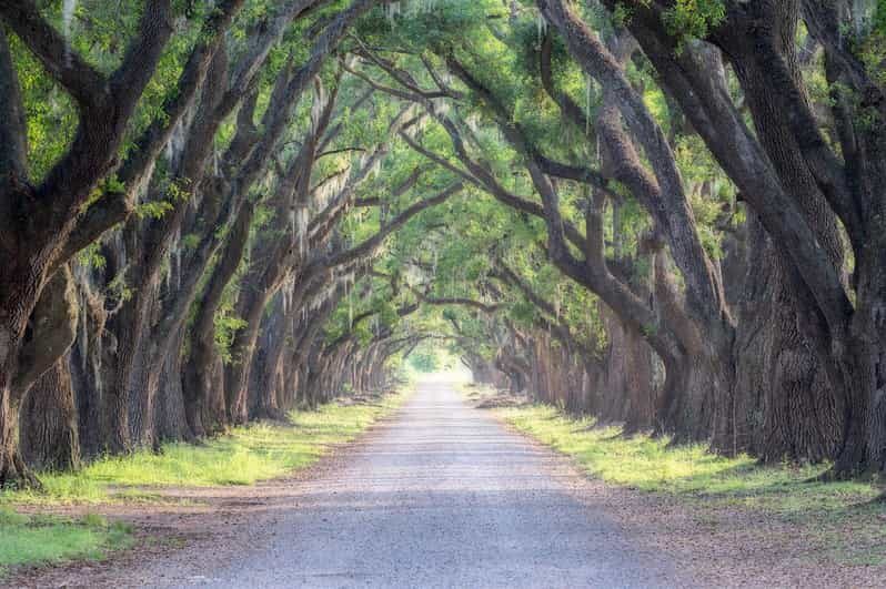 Bayous And Byways, Oak Alley Plantation And Kayak Swamp Tour - Key Points