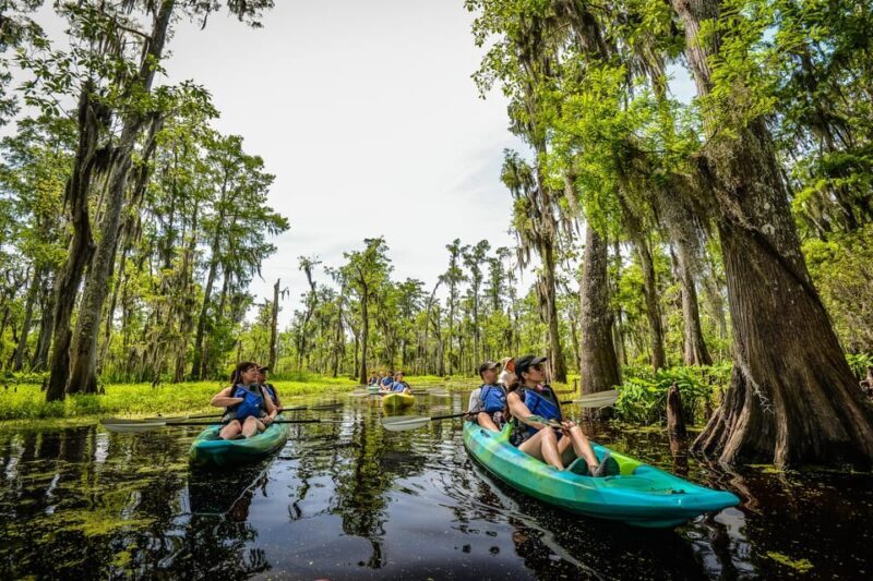 Bayous And Byways, Oak Alley Plantation And Kayak Swamp Tour - What You Can Expect from This Tour