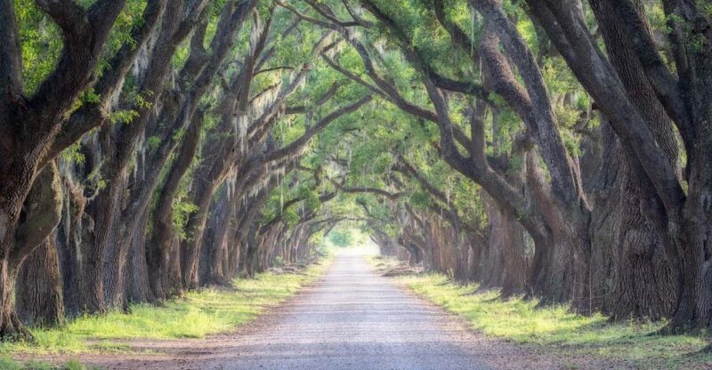 Bayous And Byways, Oak Alley Plantation And Kayak Swamp Tour - FAQ