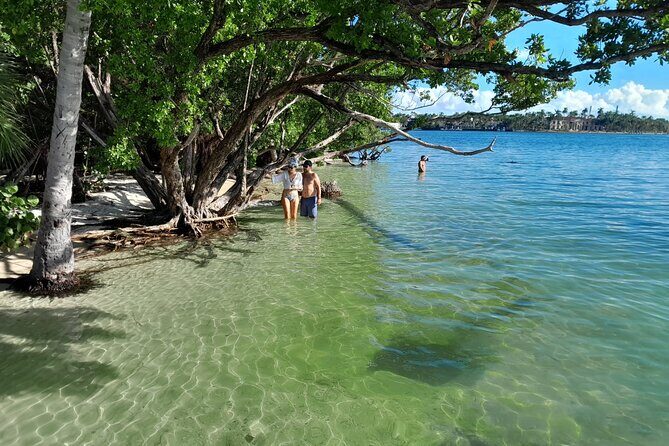 Bayside Market Place Snorkeling for Beginners - Detailed Look at the Tour Experience