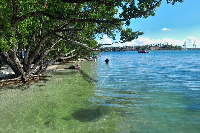 Bayside Market Place Snorkeling for Beginners - FAQ