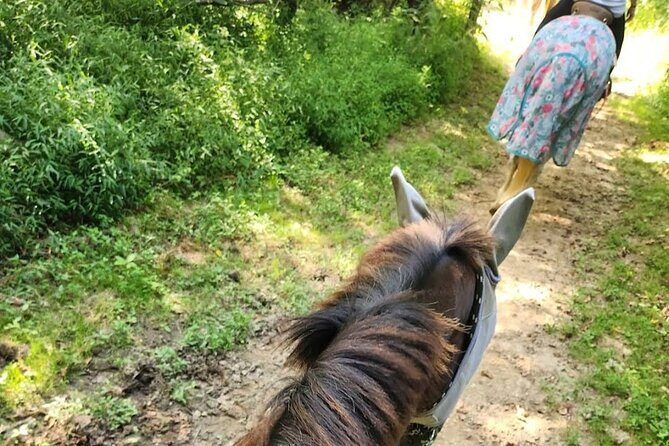 B&C horseback riding in nature and Keeneland racetrack. - FAQ