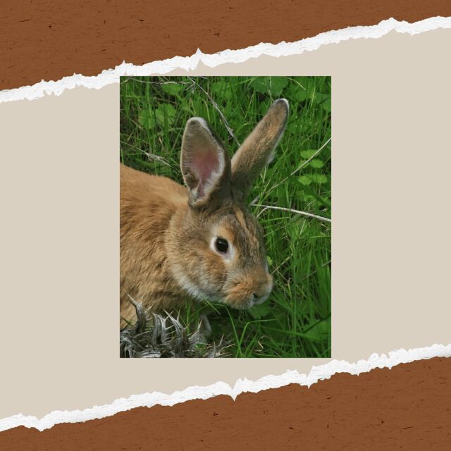 Be A Farmer for A Day in Arevitis Farm! - Practical Details