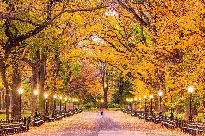 Be a NY model, Photo shoot in Central Park - An In-Depth Review of the Central Park Model Photoshoot