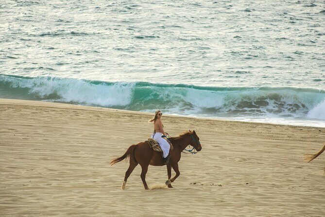 Beach Adventure Off Road ATV Ride y Horseback Experience - Who Will Enjoy This Experience Most?