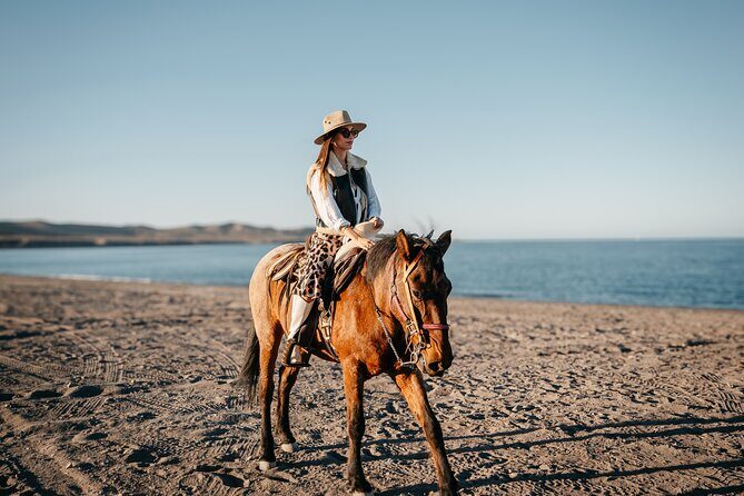 Beach and Desert Scenic Horseback Ride in Baja California Sur - Authenticity and Value