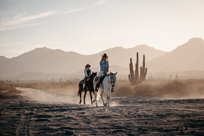 Beach and Desert Scenic Horseback Ride in Baja California Sur - The Sum Up: A Scenic Ride Worth Considering