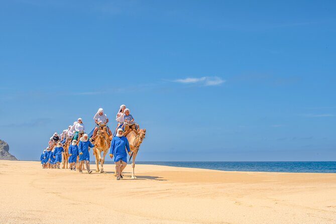Beach Camel Ride and All-inclusive Beach Club - The Experience in Detail