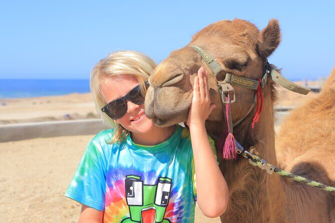 Beach Camel Ride & Encounter in Cabo - Key Points