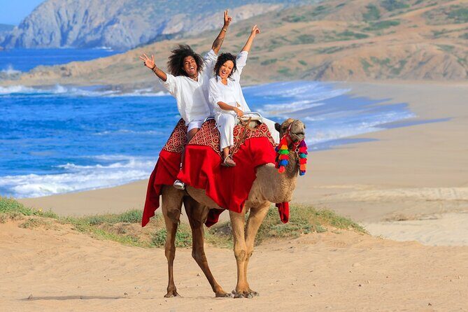 Beach Camel Ride & Encounter in Cabo - An In-Depth Look at the Experience