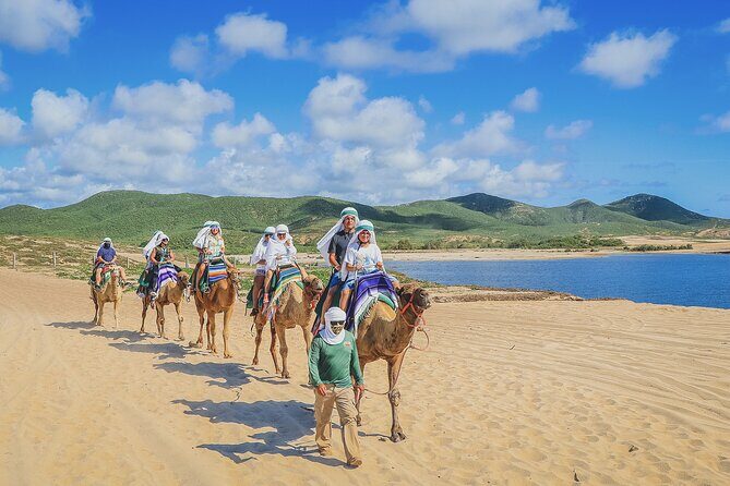 Beach Camel Ride & Encounter in Cabo - In Closing