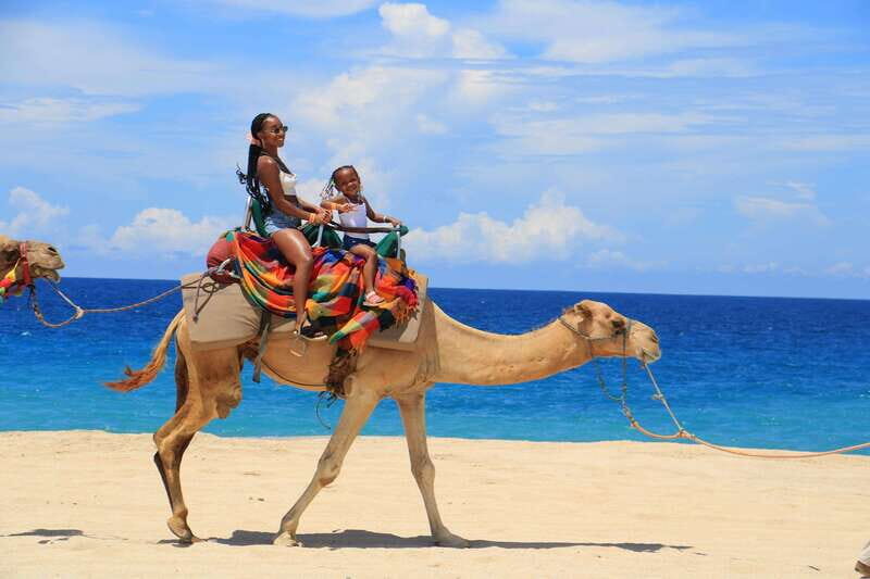 Beach CAN-AM SXS X3 & Camel Ride in Cabo by Cactus Tours - Practical Details and Tips