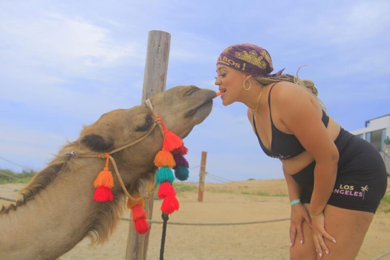 Beach CAN-AM SXS X3 & Camel Ride in Cabo by Cactus Tours - Authenticity and Guest Feedback