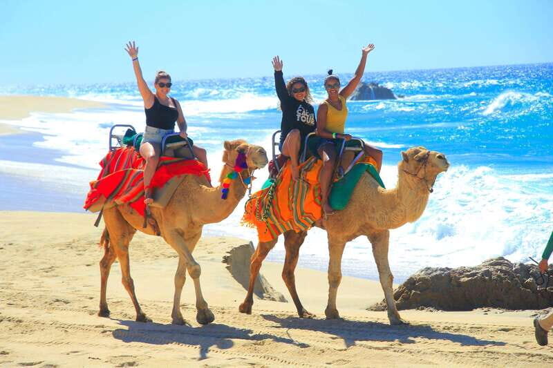 Beach CAN-AM SXS X3 & Camel Ride in Cabo by Cactus Tours - FAQ