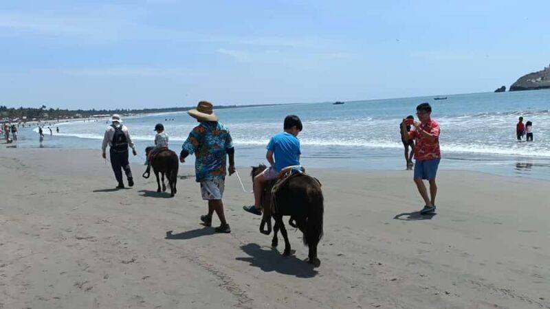 Beach Club All Inclusive: Horse Ride Water Sports Food Drink - The Sum Up