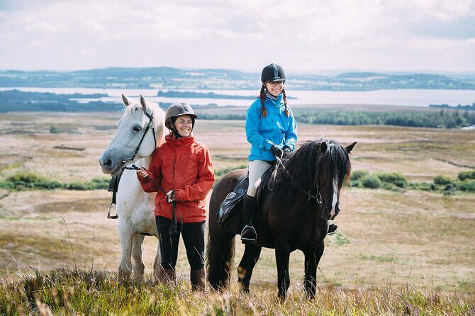 Beach & countryside horse riding outside Westport. Guided. 1 hour - A Closer Look at the Tour