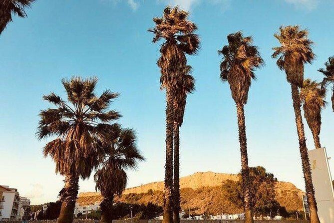 Beach Day with lunch. - FAQ